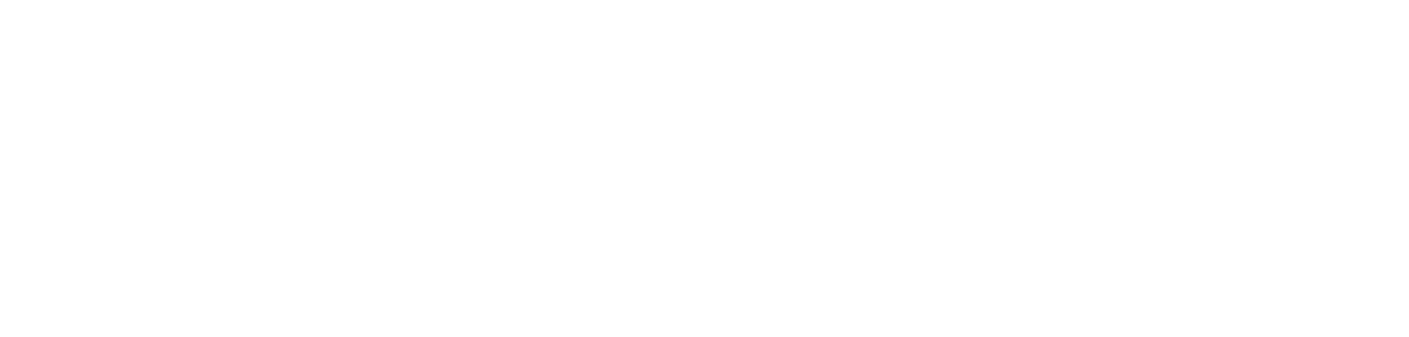 LV digital